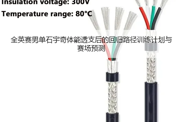 quan-ying-sai-nan-dan-shi-yu-qi-ti-neng-tou-zhi-hou-de-hui-gui-lu-jing-xun-lian-ji-hua-yu-sai-chang-yu-ce-2-606.jpg